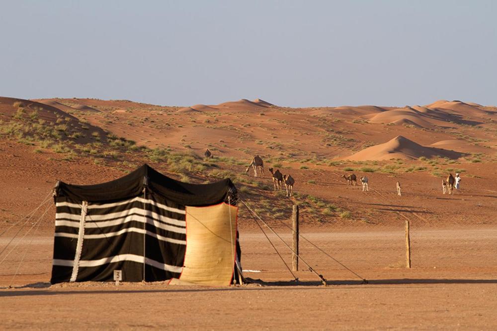 Desert Retreat Camp Al Wāşil Eksteriør billede